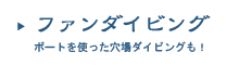 ファンダイビング～ボートを使った穴場ダイビングも！～