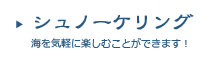 シュノーケリング～海を気軽に楽しむことができます！～