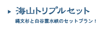 海山トリプルセット～縄文杉と白谷雲水峡がセットになった提携プラン！～