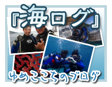 海ログ~ゆめここちのブログ