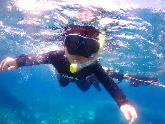 屋久島シュノーケリングの写真