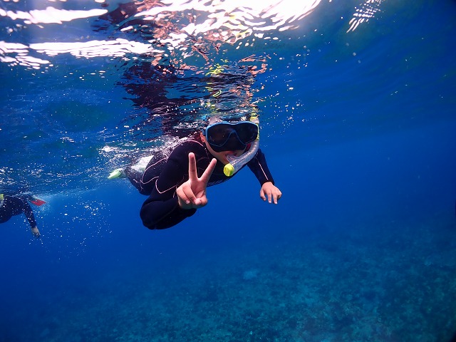屋久島シュノーケリングの写真